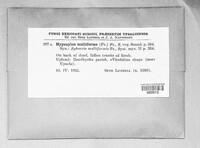 Hypoxylon multiforme image
